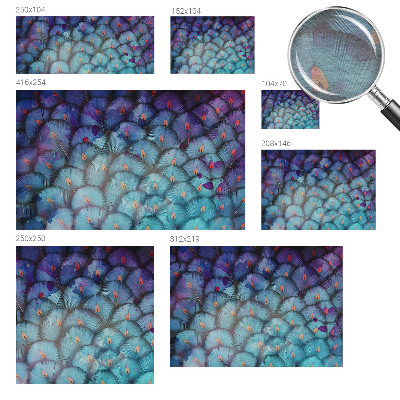 Vlies-Fototapete fürs Wohnzimmer Bunte Federn