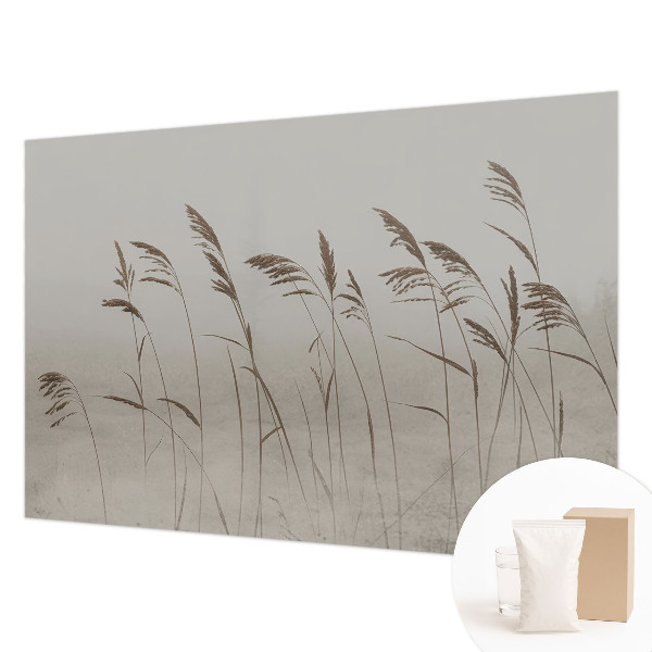 Fototapete nach Maß Gräser im Nebel