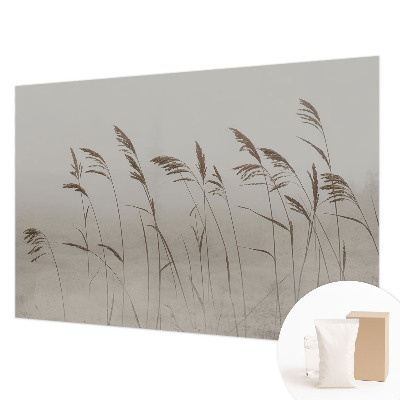 Fototapete nach Maß Gräser im Nebel