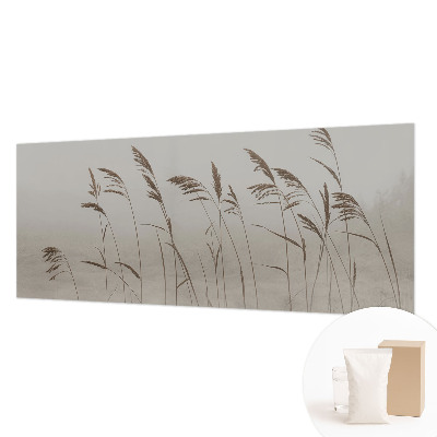 Fototapete nach Maß Gräser im Nebel