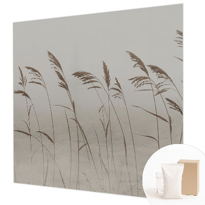 Fototapete nach Maß Gräser im Nebel