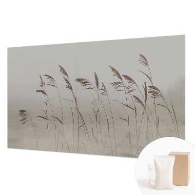 Fototapete nach Maß Gräser im Nebel