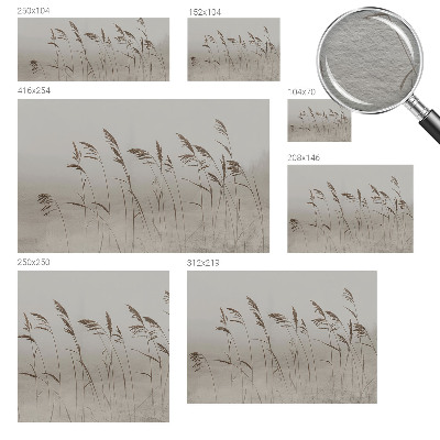 Fototapete nach Maß Gräser im Nebel