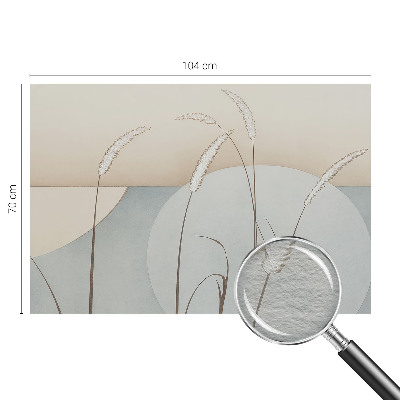 Vlies-Fototapete mit Motiv sanfter Gräser
