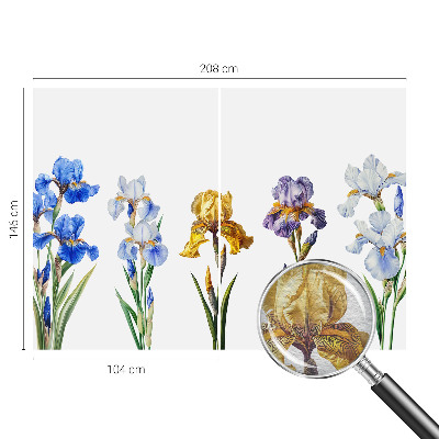 Vlies-Fototapete mit Motiv aus Irisblüten
