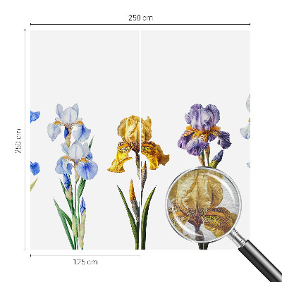 Vlies-Fototapete mit Motiv aus Irisblüten