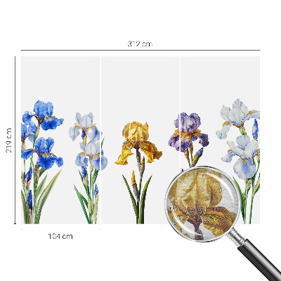 Vlies-Fototapete mit Motiv aus Irisblüten