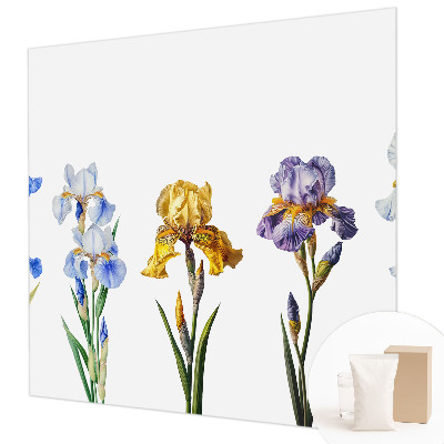 Vlies-Fototapete mit Motiv aus Irisblüten