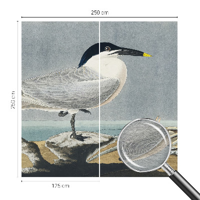 Fototapete fürs Schlafzimmer Ornithologische Eleganz