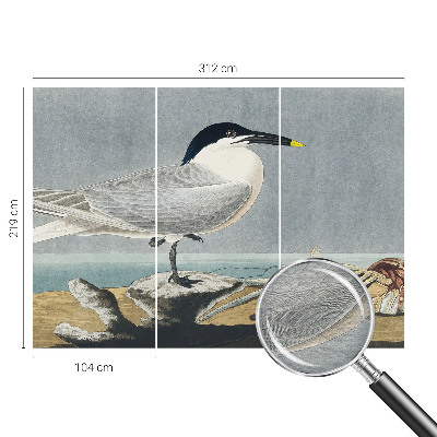 Fototapete fürs Schlafzimmer Ornithologische Eleganz