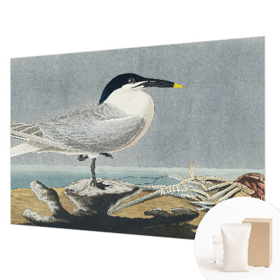 Fototapete fürs Schlafzimmer mit einem ornithologischen Motiv für das Schlafzimmer
