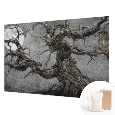 Fototapete fürs Wohnzimmer Geheimnisvolle Eule