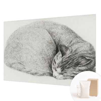 Motivtapete aus Vlies mit aufgerollter Katzenillustration