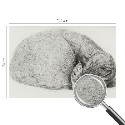 Motivtapete aus Vlies mit aufgerollter Katzenillustration