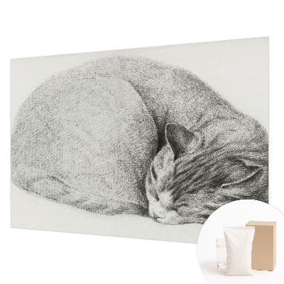 Motivtapete aus Vlies mit aufgerollter Katzenillustration