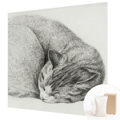 Motivtapete aus Vlies mit aufgerollter Katzenillustration