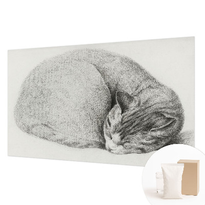 Motivtapete aus Vlies mit aufgerollter Katzenillustration