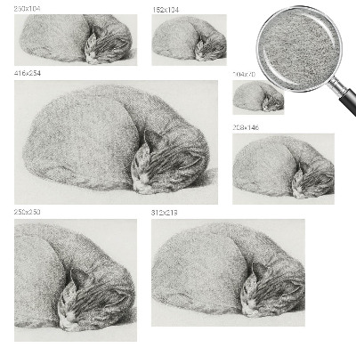 Motivtapete aus Vlies mit aufgerollter Katzenillustration