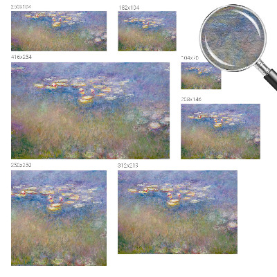 Vlies-Fototapete fürs Wohnzimmer Seerosen