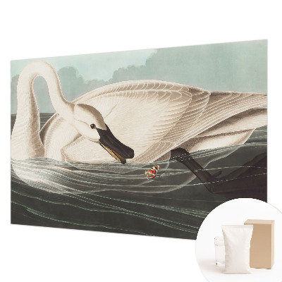 Vlies-Fototapete fürs Kinderzimmer Harmonie der Natur