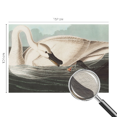 Vlies-Fototapete fürs Kinderzimmer Harmonie der Natur