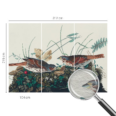 Vliestapete fürs Wohnzimmer Der Zauber der Natur