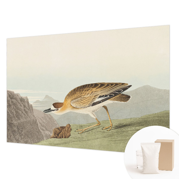 Vliestapete fürs Schlafzimmer Bergvogel