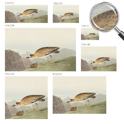 Vliestapete fürs Schlafzimmer Bergvogel