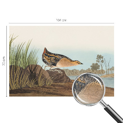 Bedruckte Vlies-Fototapete mit einer Naturszene