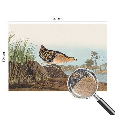 Bedruckte Vlies-Fototapete mit einer Naturszene