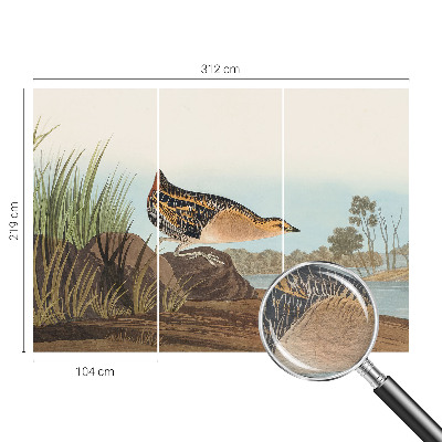 Bedruckte Vlies-Fototapete mit einer Naturszene