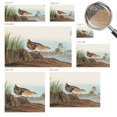 Bedruckte Vlies-Fototapete mit einer Naturszene