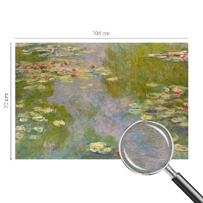 Moderne Vlies-Fototapete mit Motiv Seerosen