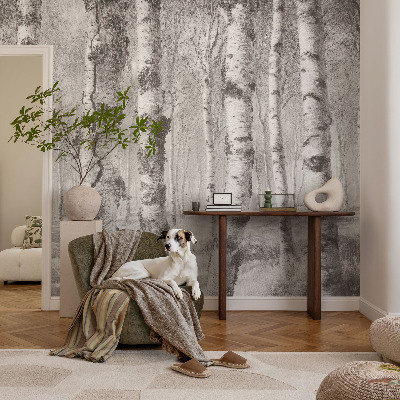 Vlies-Fototapete fürs Schlafzimmer mit einem Motiv eines Birkenwalds