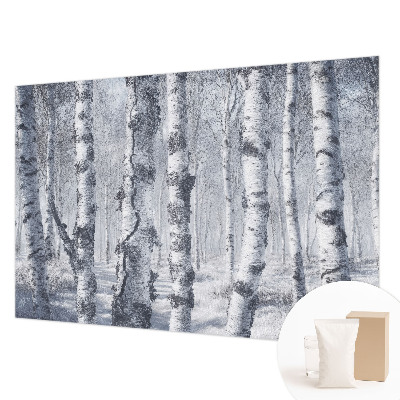 Vlies-Fototapete fürs Kinderzimmer mit frostiger Natur als Motiv
