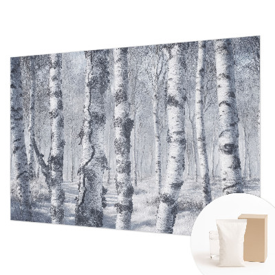 Vlies-Fototapete fürs Kinderzimmer mit frostiger Natur als Motiv