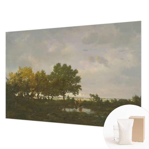 Fototapete fürs Wohnzimmer Waldlandschaft