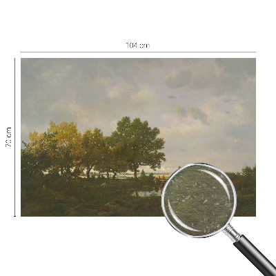 Fototapete fürs Wohnzimmer mit einer Waldlandschaft