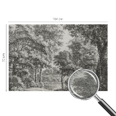 Vlies-Fototapete nach Maß mit einer Waldlandschaft als Motiv