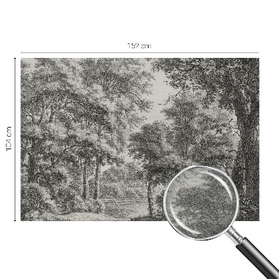 Vlies-Fototapete nach Maß mit einer Waldlandschaft als Motiv