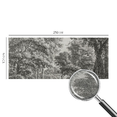 Vlies-Fototapete nach Maß mit einer Waldlandschaft als Motiv
