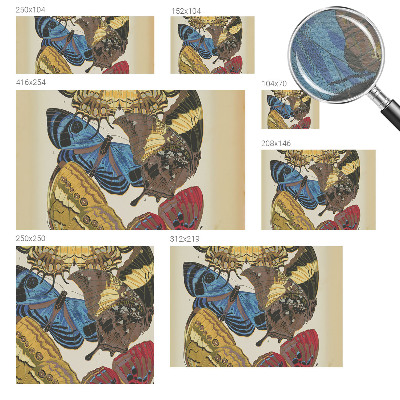 Wandtapete Schmetterlinge Inspiration