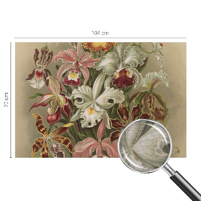 Vlies-Fototapete mit floralem Motiv in eleganter Optik