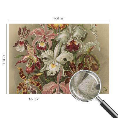 Vlies-Fototapete mit floralem Motiv in eleganter Optik