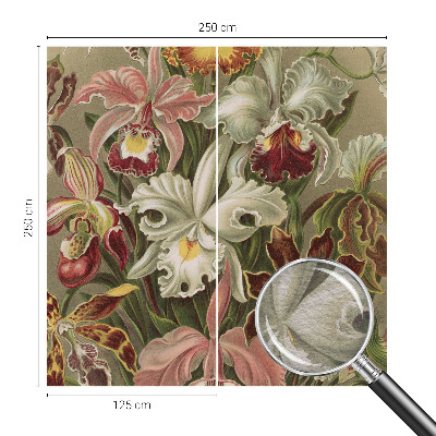 Vlies-Fototapete mit floralem Motiv in eleganter Optik