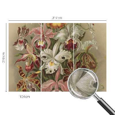 Vlies-Fototapete mit floralem Motiv in eleganter Optik