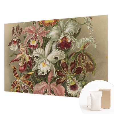 Vlies-Fototapete Florale Eleganz