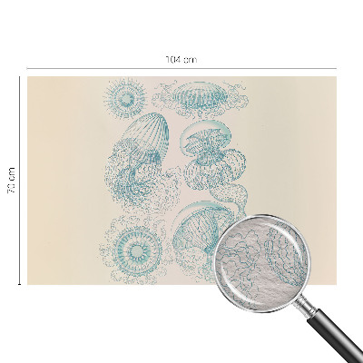 Fototapete fürs Wohnzimmer Seequallen