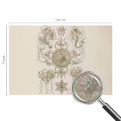 Fototapete fürs Schlafzimmer Unterwasserwelt