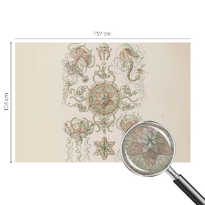 Fototapete fürs Schlafzimmer Unterwasserwelt